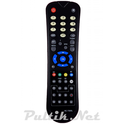 ORTON HDX403P